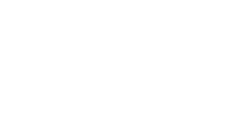 Jetsmas Sale Fares from $29^