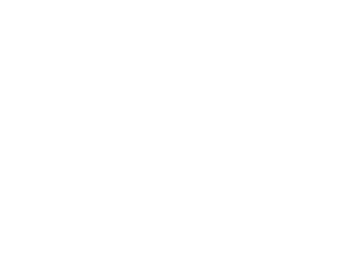 Sale Fares From $54^