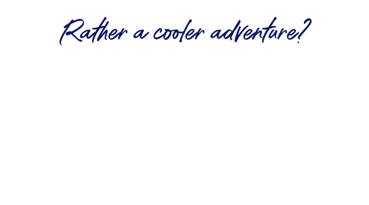 Tasmania Sale